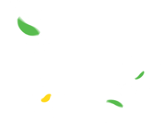 잎 왼쪽