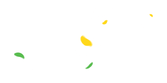 잎 오른쪽